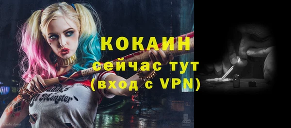 крисы Алексин