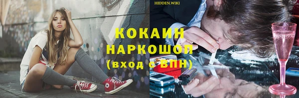 индика Наволоки