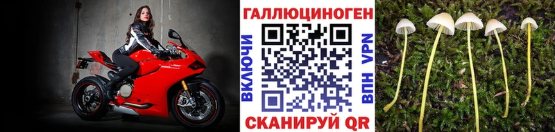 как найти закладки  Сорочинск  Галлюциногенные грибы Magic Shrooms 